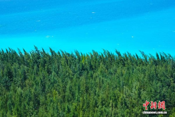 在南海看见丛林——我国南海岛礁生态环保开发获得显耀获胜